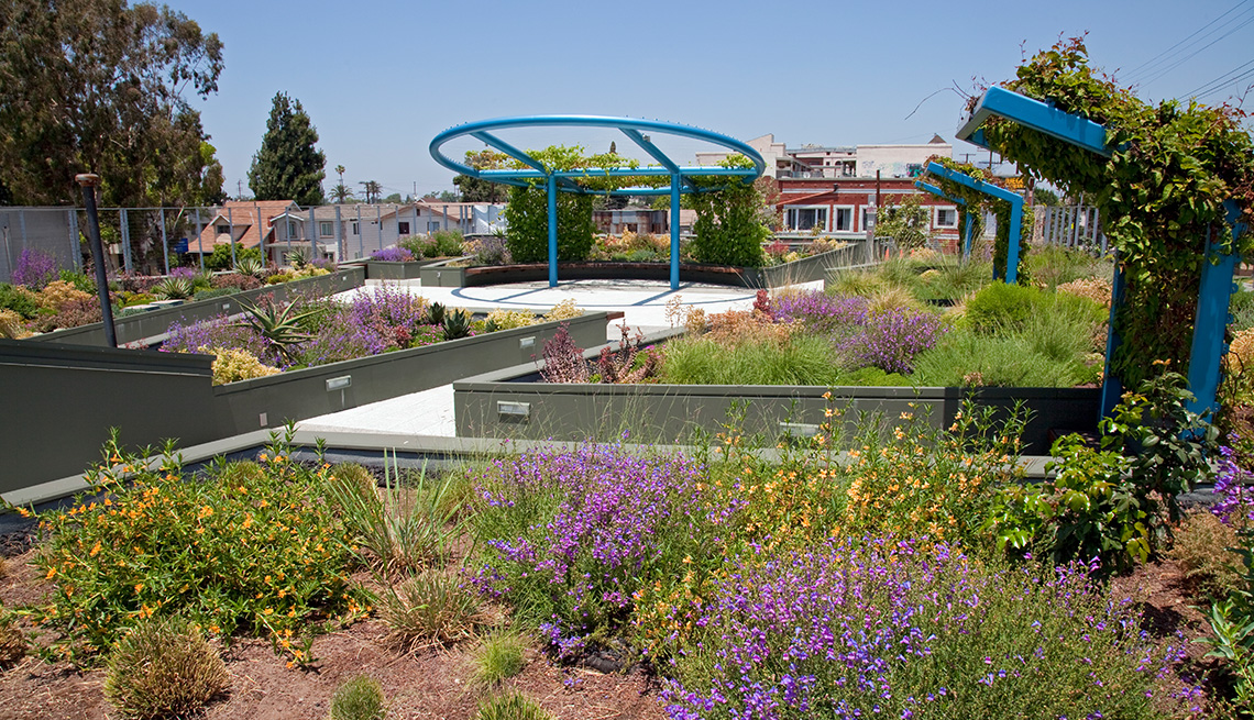 Un jardín resistente a la sequía en California