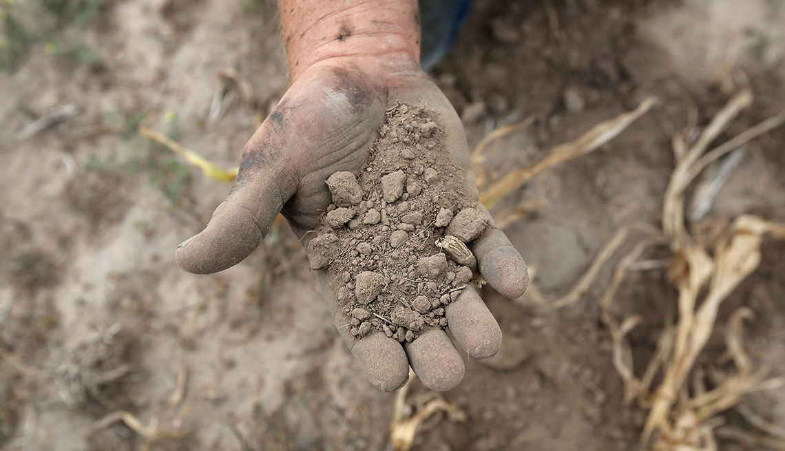 item 10 of Gallery image - darren becker sifting through dry topsoil in a ruined crop in logan kansas during a drought