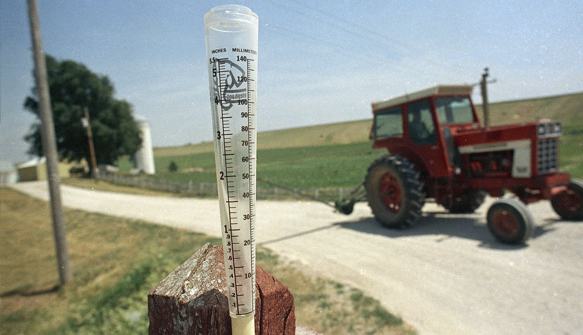 item 8 of Gallery image - Un pluviómetro vacío sobresale de un puesto agrícola en Marne, Iowa.