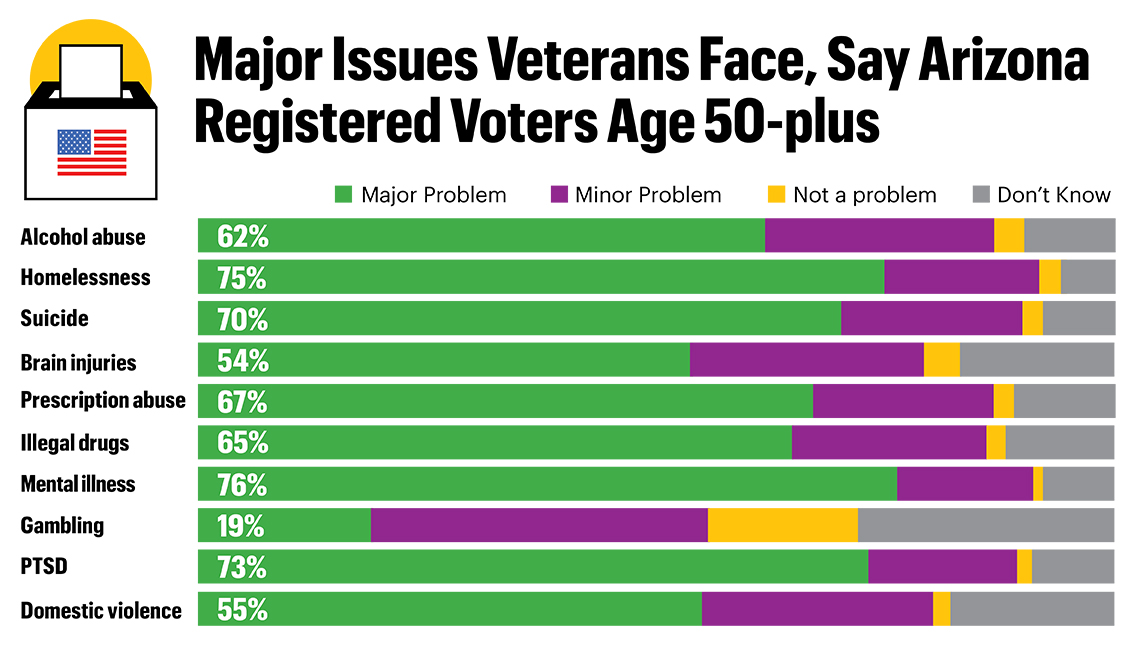 Major Issues Veterans Face, Say Arizona Registered Voters Age 50 Plus graphic