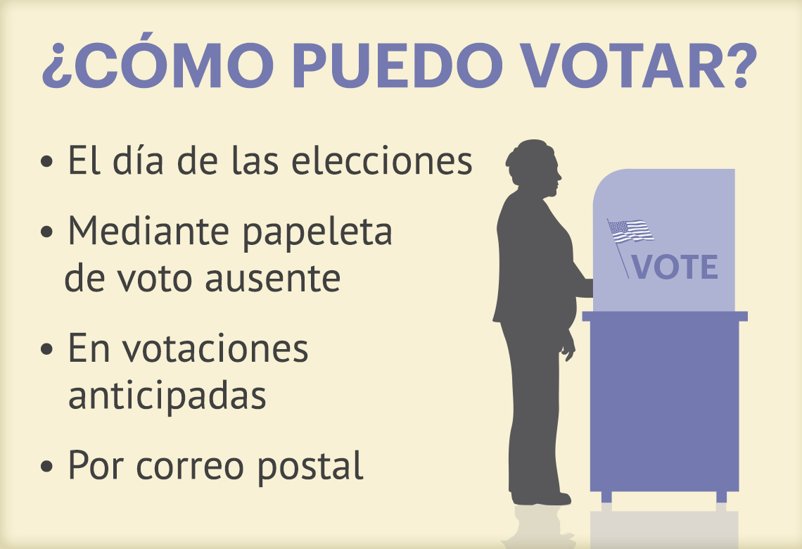 Gráfica muestra cómo una persona puede votar