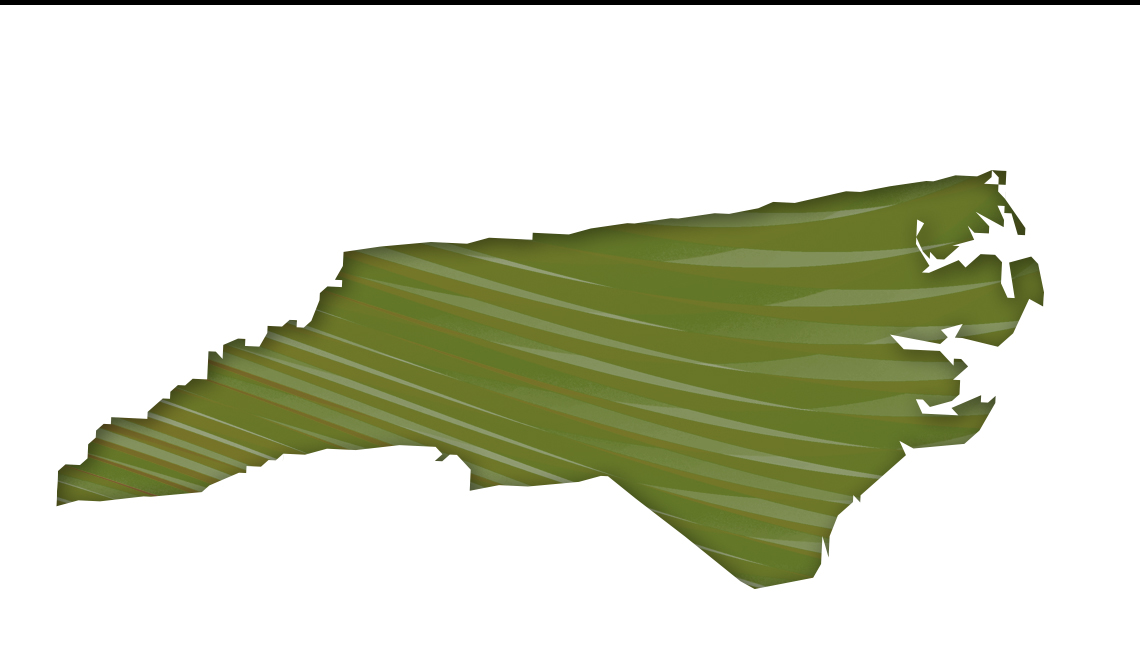 Mapa de Carolina del Norte