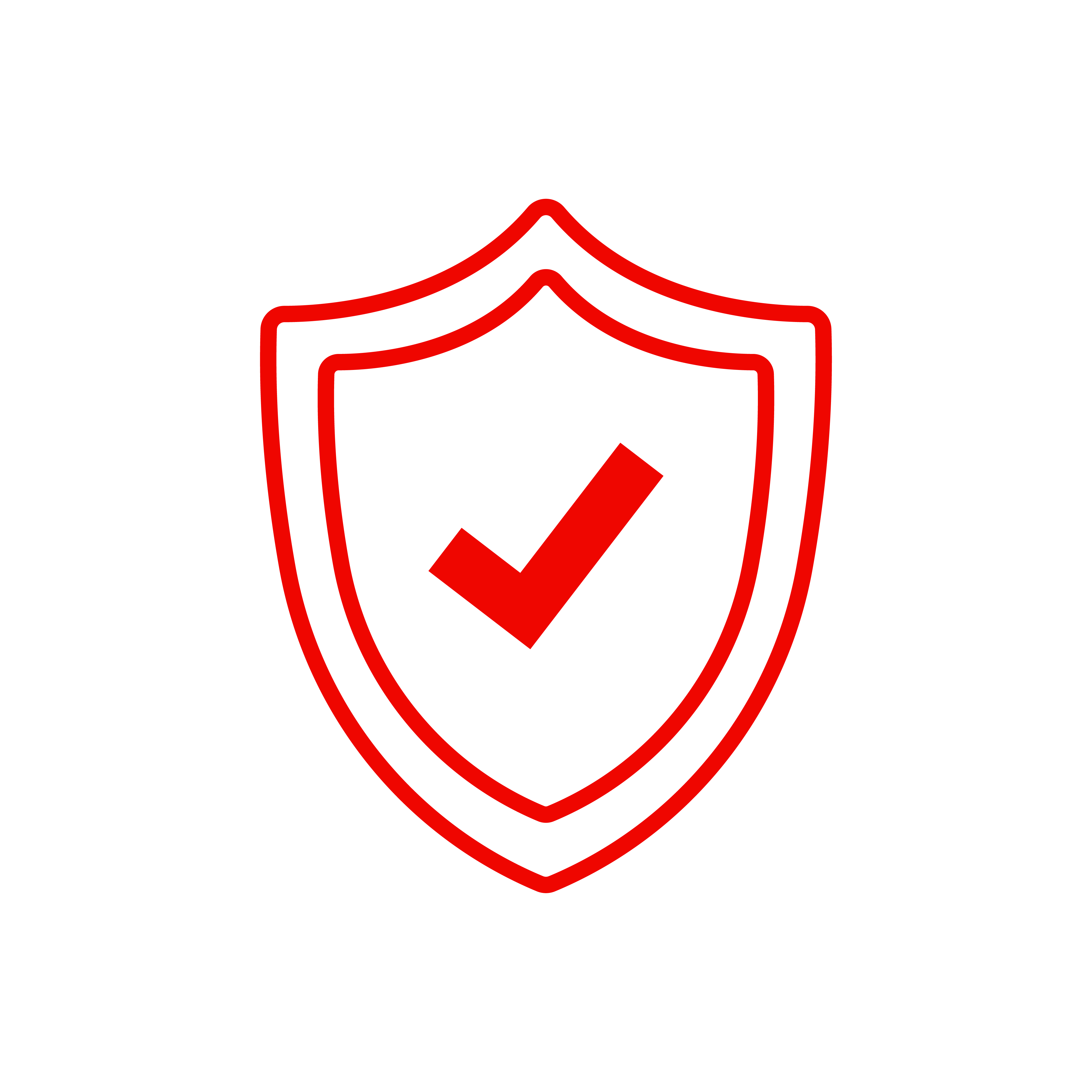 A shield with a checkmark