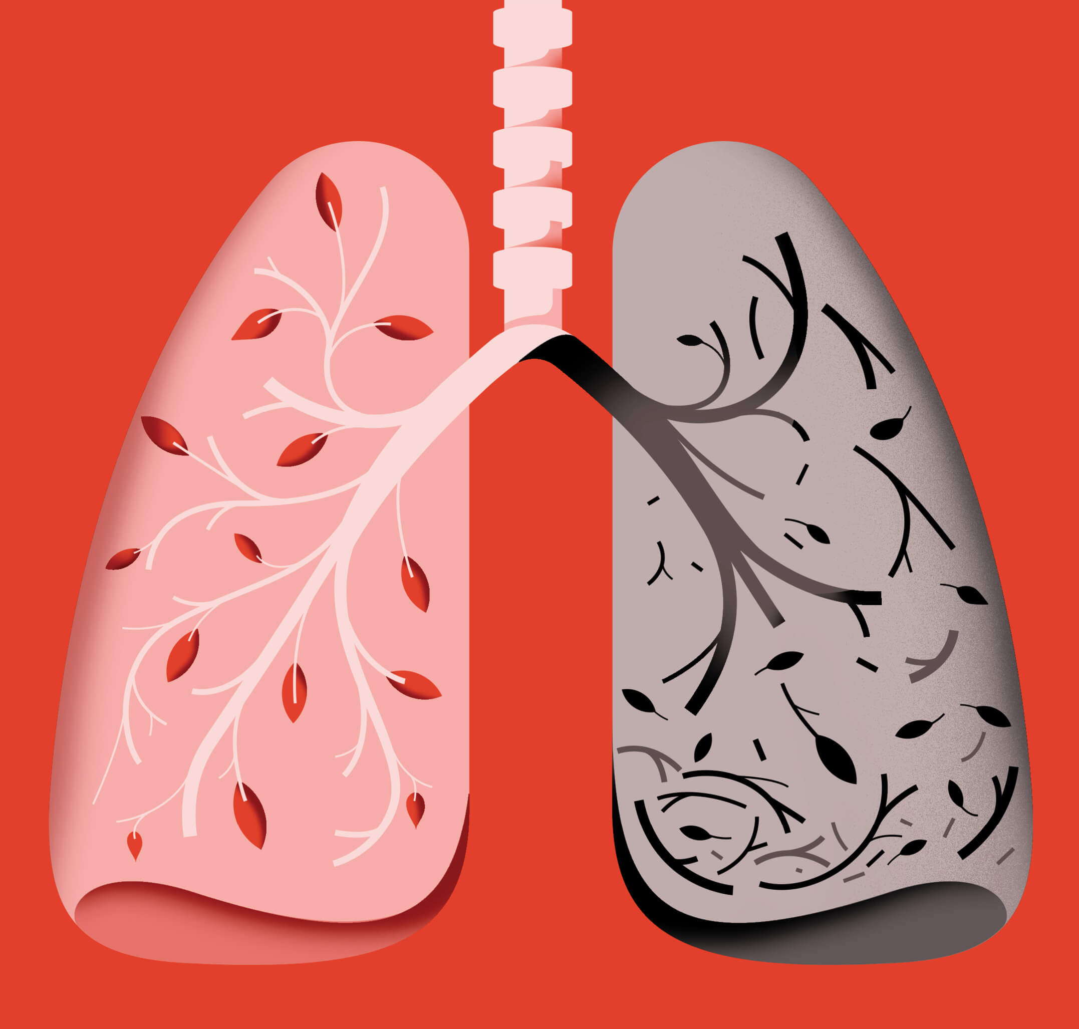 Illustration of lungs, one side is healthy and bright while the other is dark and unhealthy