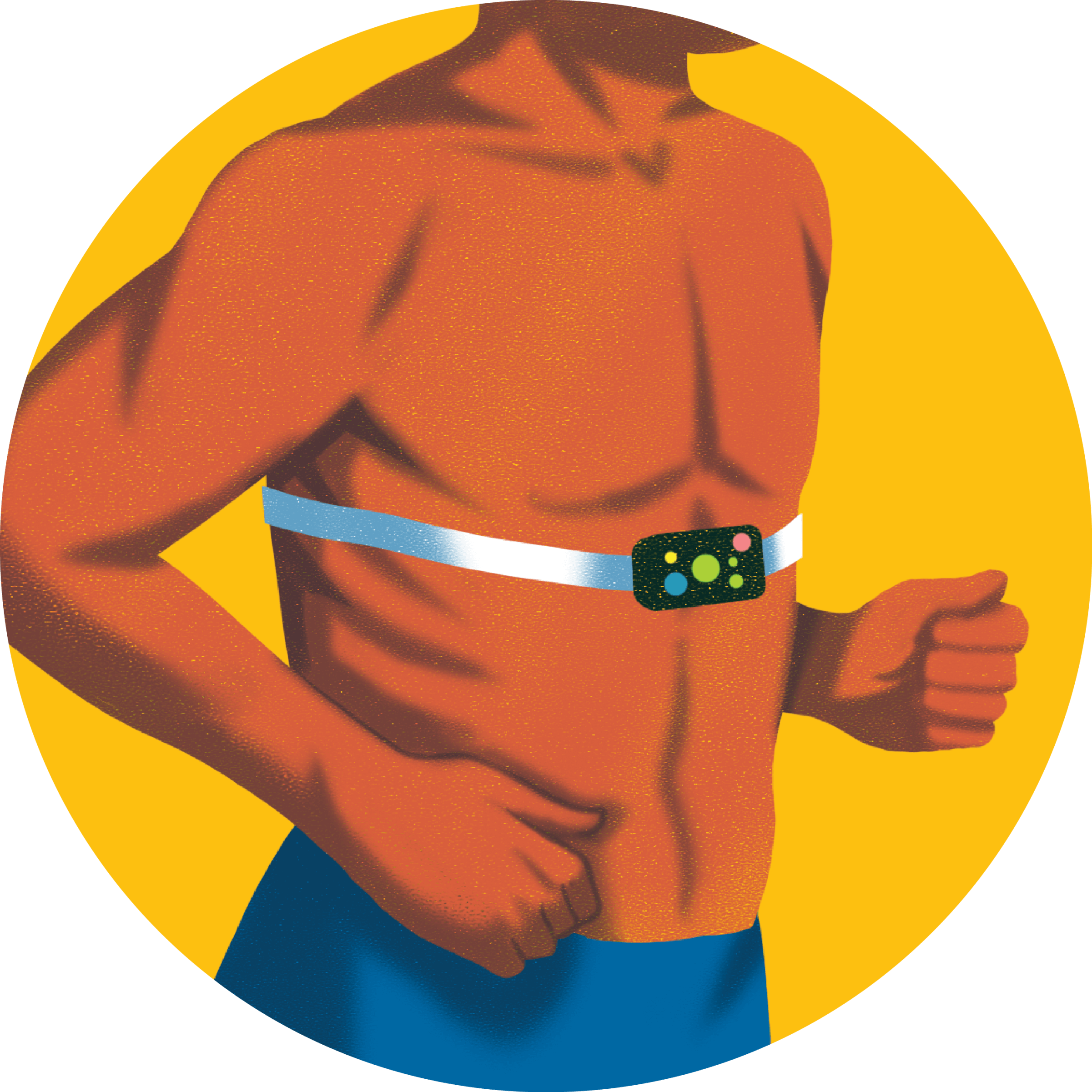 Drawing of a shirtless male torso wearing a chest-strap monitor.