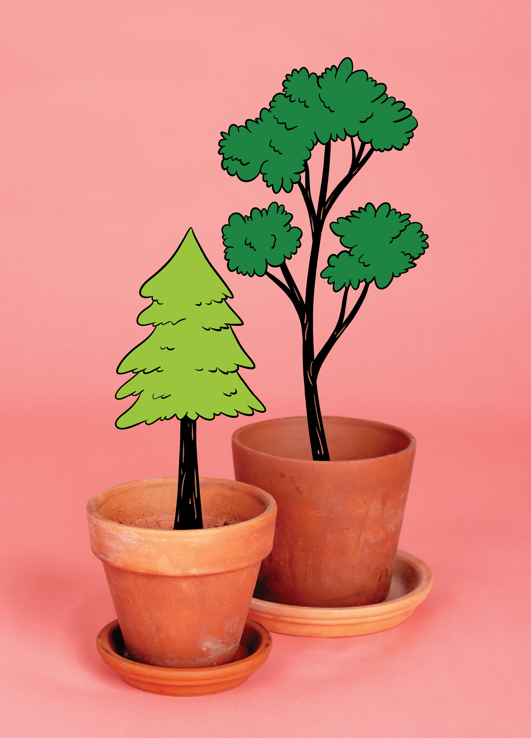 Photograph of clay pots with drawings of plants growing out of it 