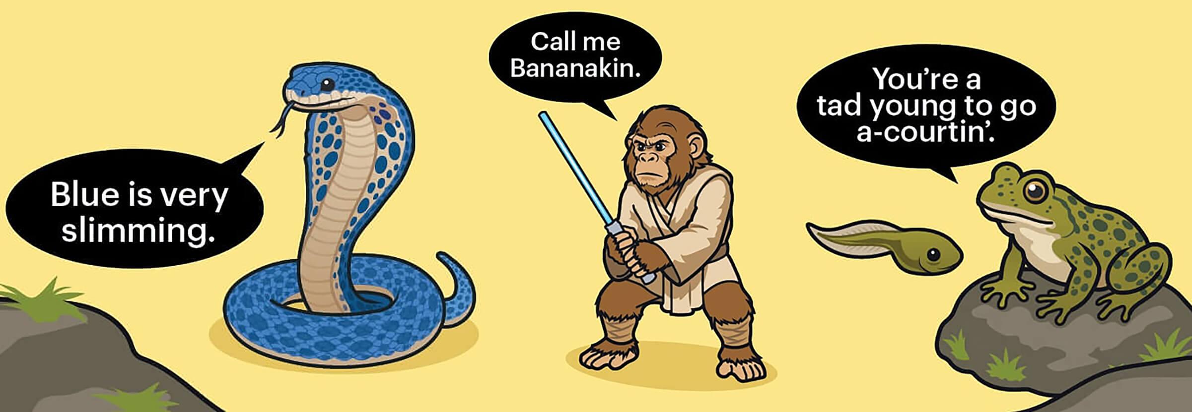 Illustration of the three animals- a monkey, snake and frog