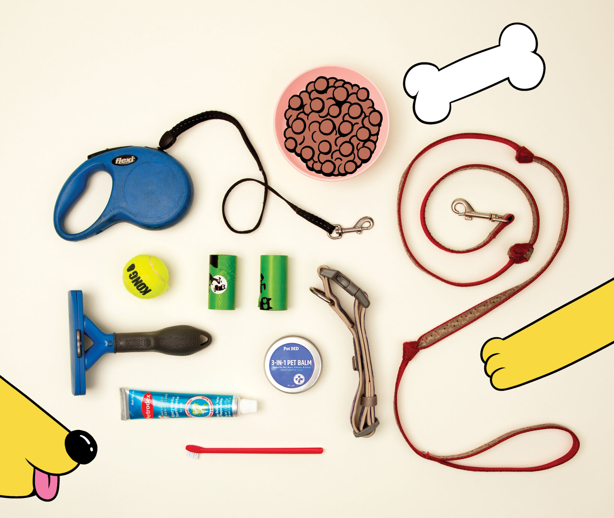 Photograph of a top view of pet products like food, leash, dog bones, etc 