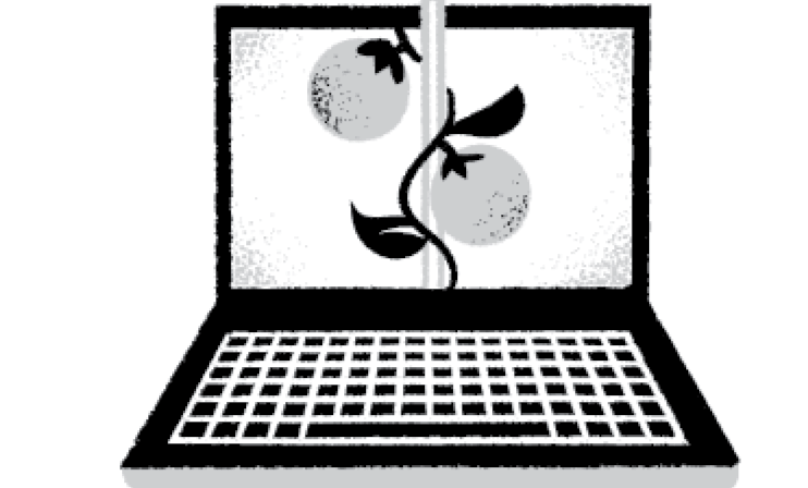 Illustration of a laptop screen with plants growing out of it