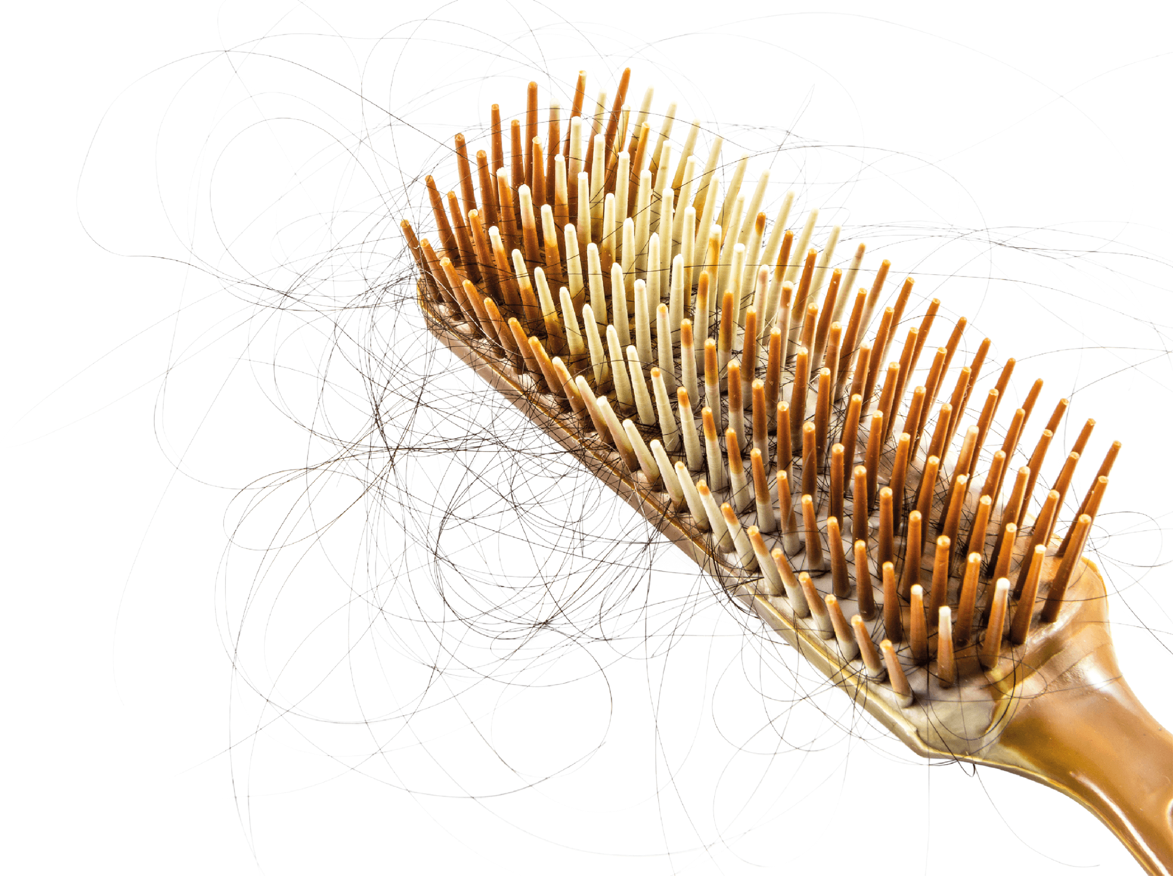 Photo of a hairbrush with a lot of hair in the bristles.