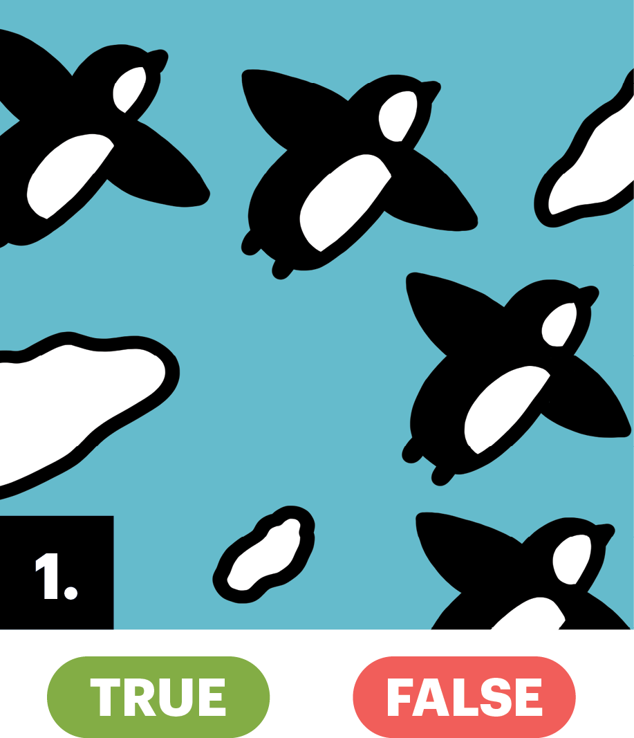 Illustration of flying penguins