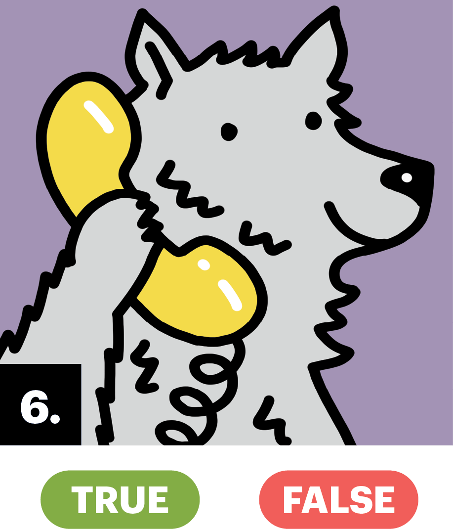 Illustration of a wolf answering the phone
