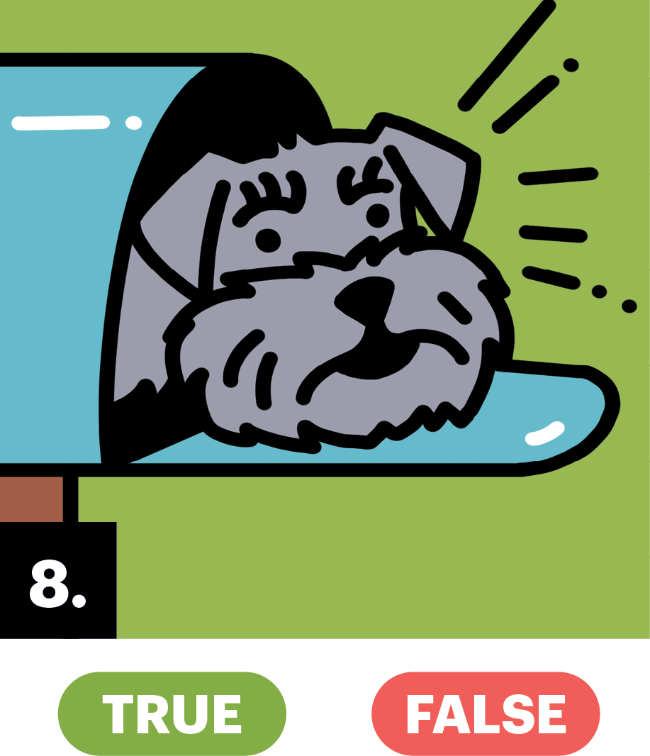 Illustration of a dog coming out of a mail box