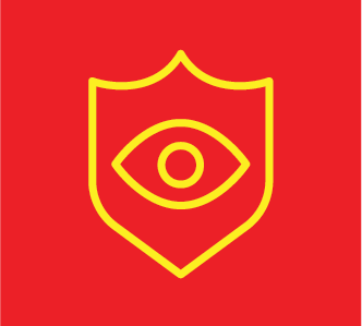 Icon of shield