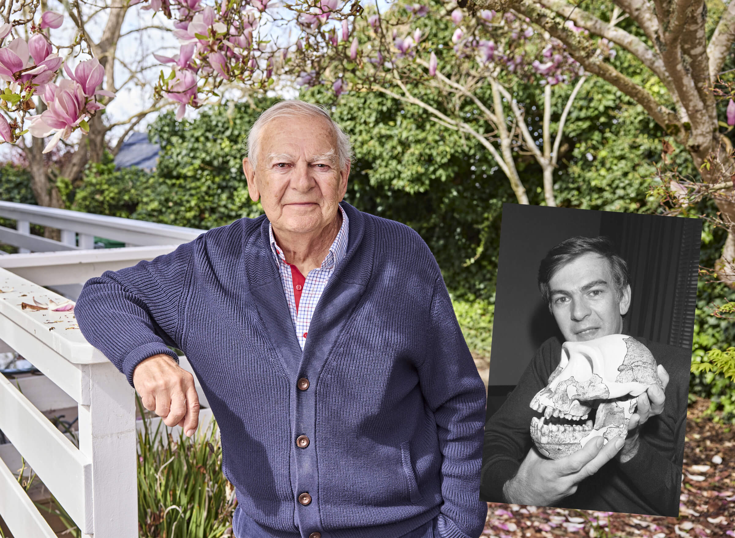 Portrait of Donald Johanson outside, in front of a magnolia tree. Portrait of young Johanson holding a skull