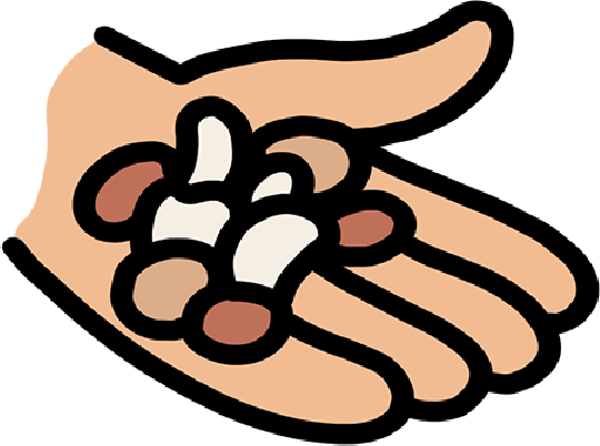 Illustration of hand holding different nuts