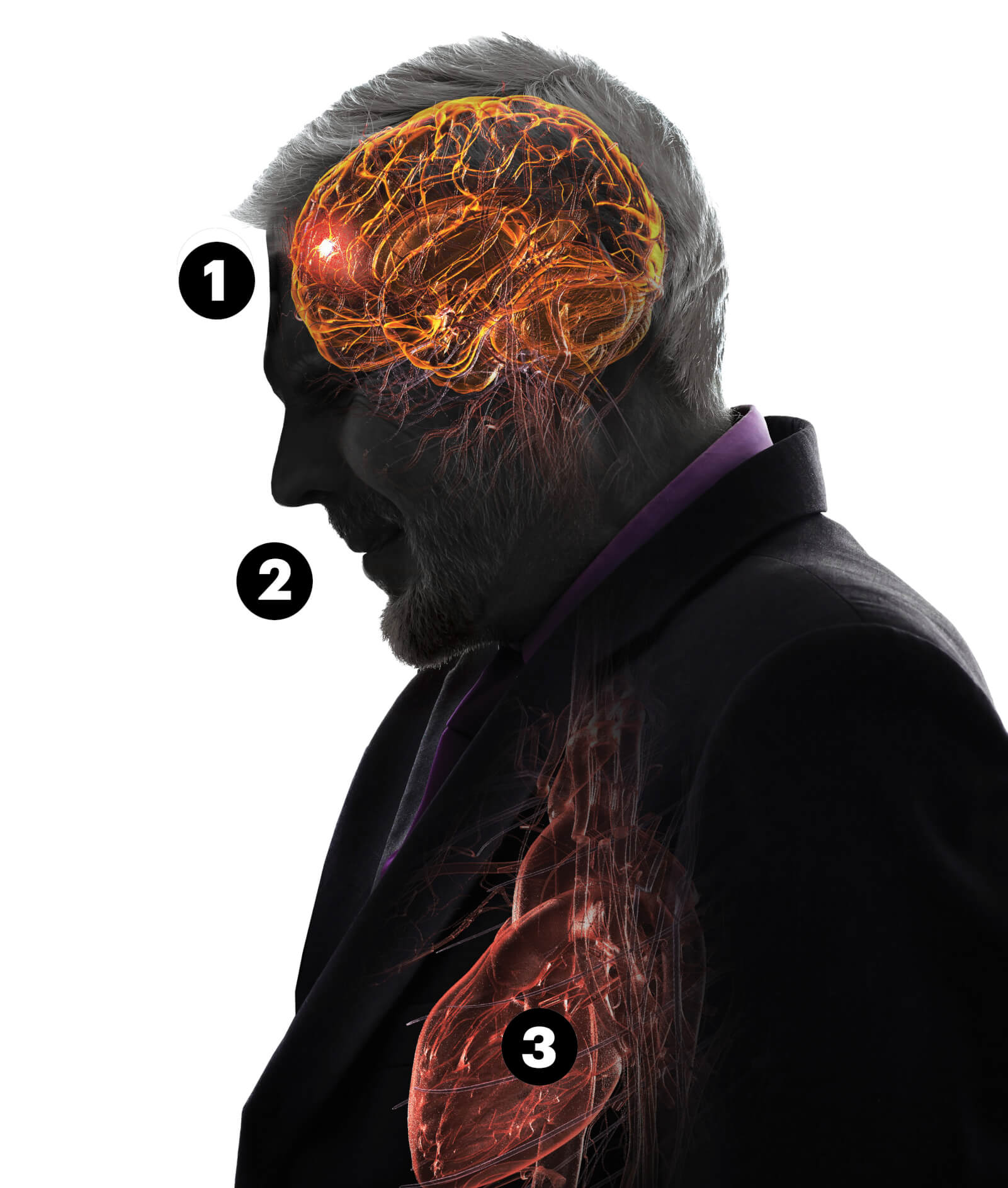 Illustration of a silhouetted man's upper body highlighting his brain, mouth and heart