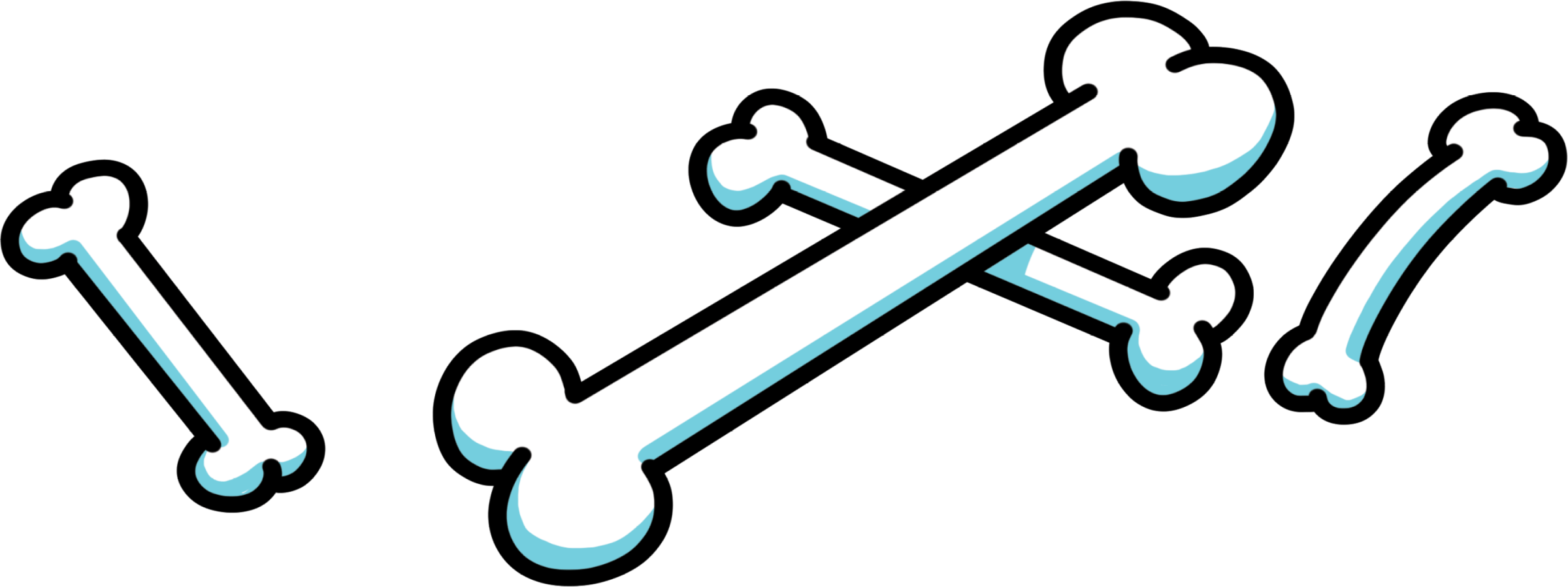 Illustration of bones.