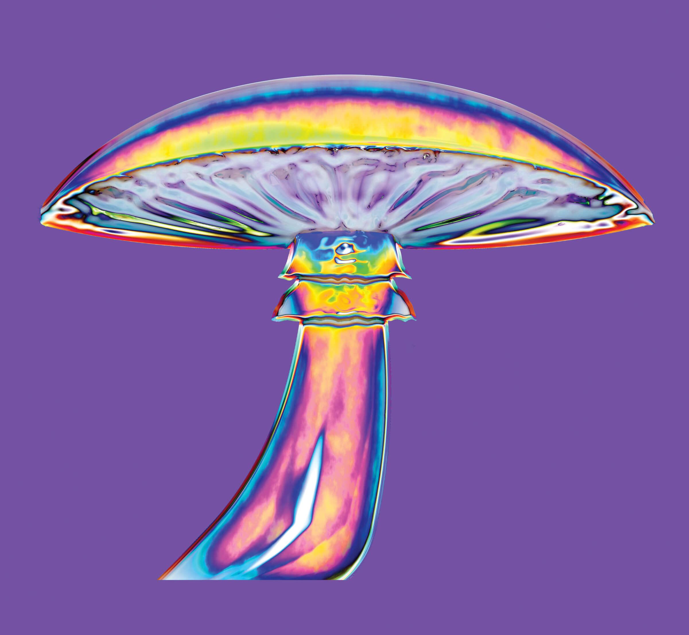 A colorful psychedelic style image of a mushroom.