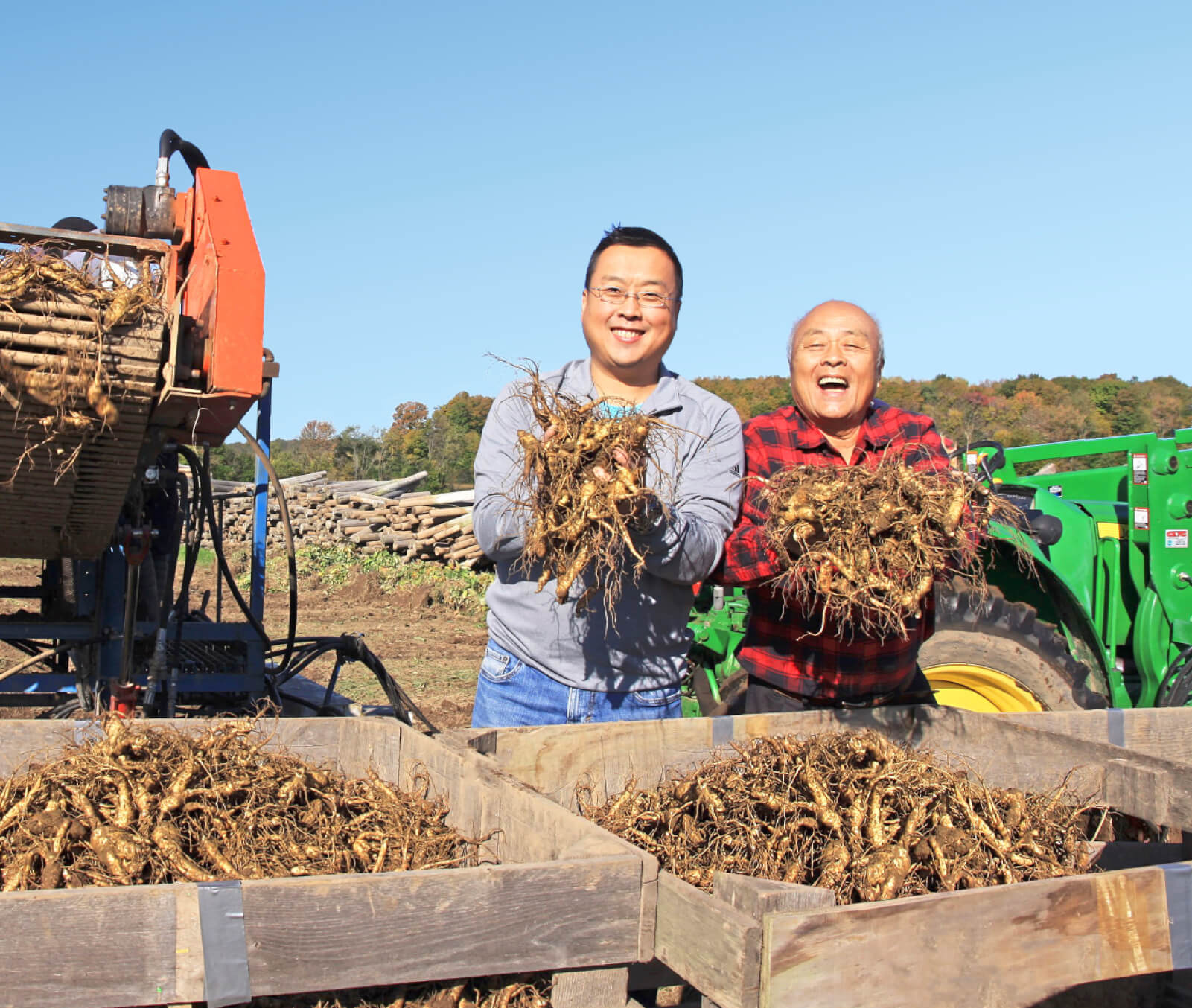 Photo of Will Tsu and his father Paul holding bunches of ginseng