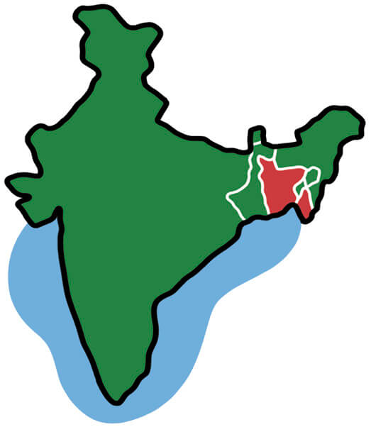 Illustration of the outline of India.