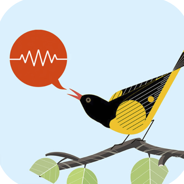 Chirp-o-matic app icon