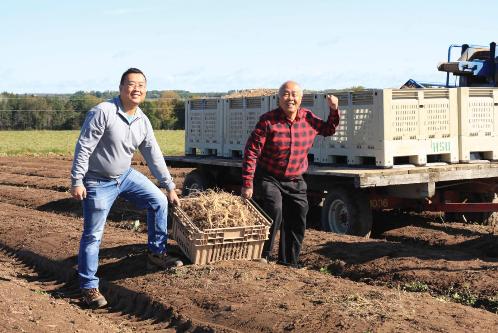 Photo of Will and Paul Tsu carrying a big box of freshly-harvested ginseng