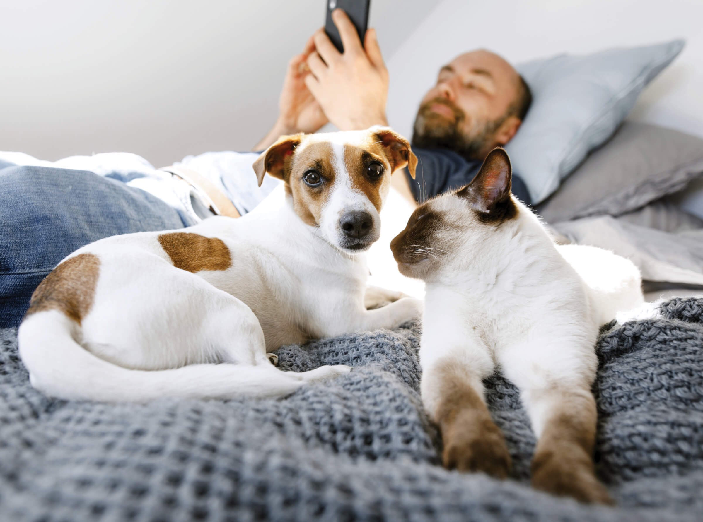 Photo of a man relaxing in bed with his dog and cat