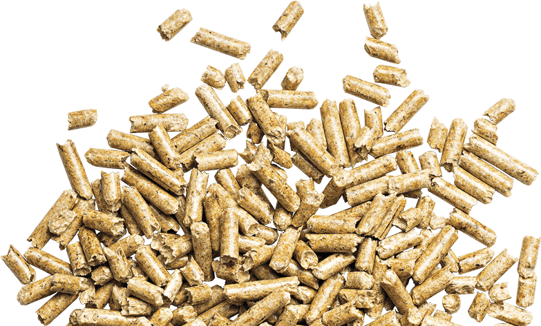 Photo of wood pellets