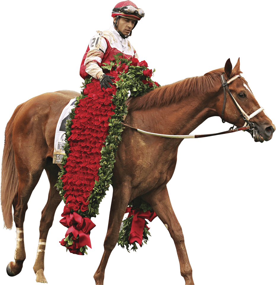 Photo of a winning horse wearing a garland of red roses