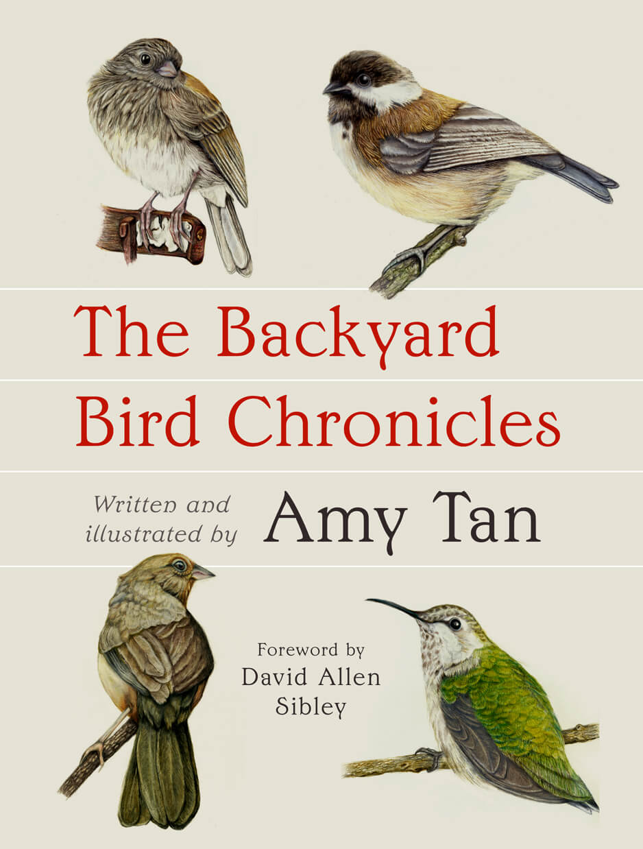 The Backyard Bird Chronicles book cover