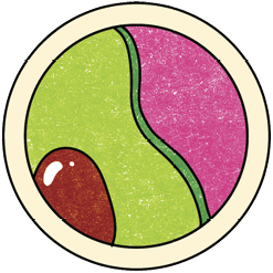 Circular icon illustration of carbohydrates