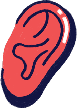 Illustration of an ear