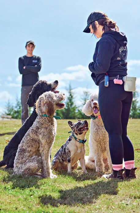 Photo of woman dog trainer with four dogs looking up at her