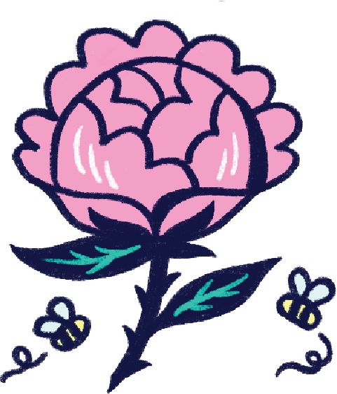 Illustration of a rose