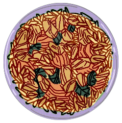 Illustration of a plate of freshly cooked food