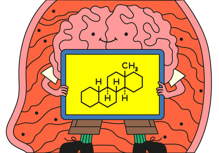 Illustration of a brain holding a sign with hormone chemical symbols