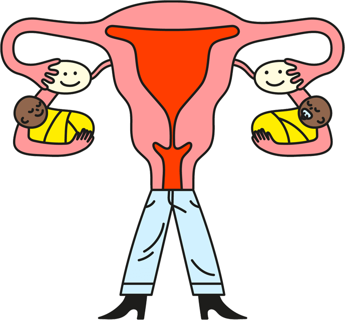 Illustration of ovaries holding two babies
