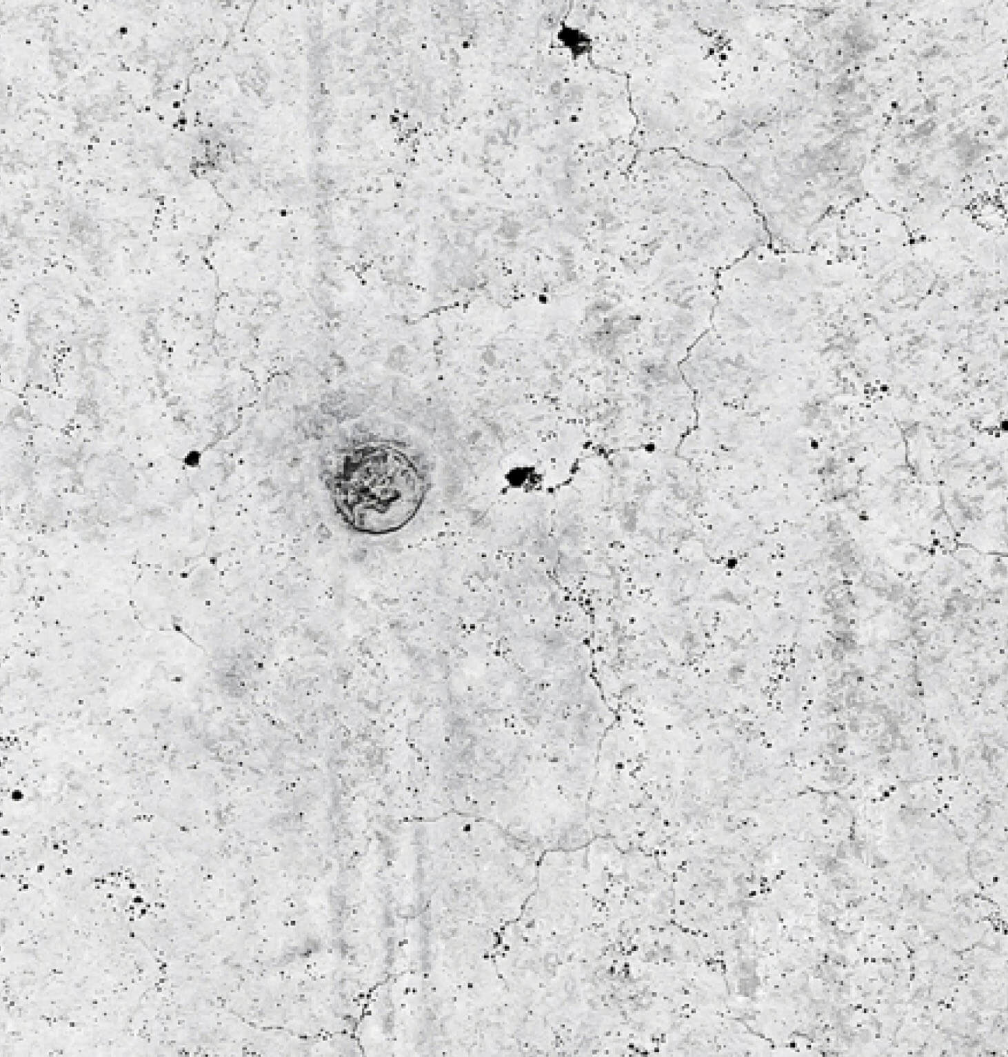 Photo of Concrete