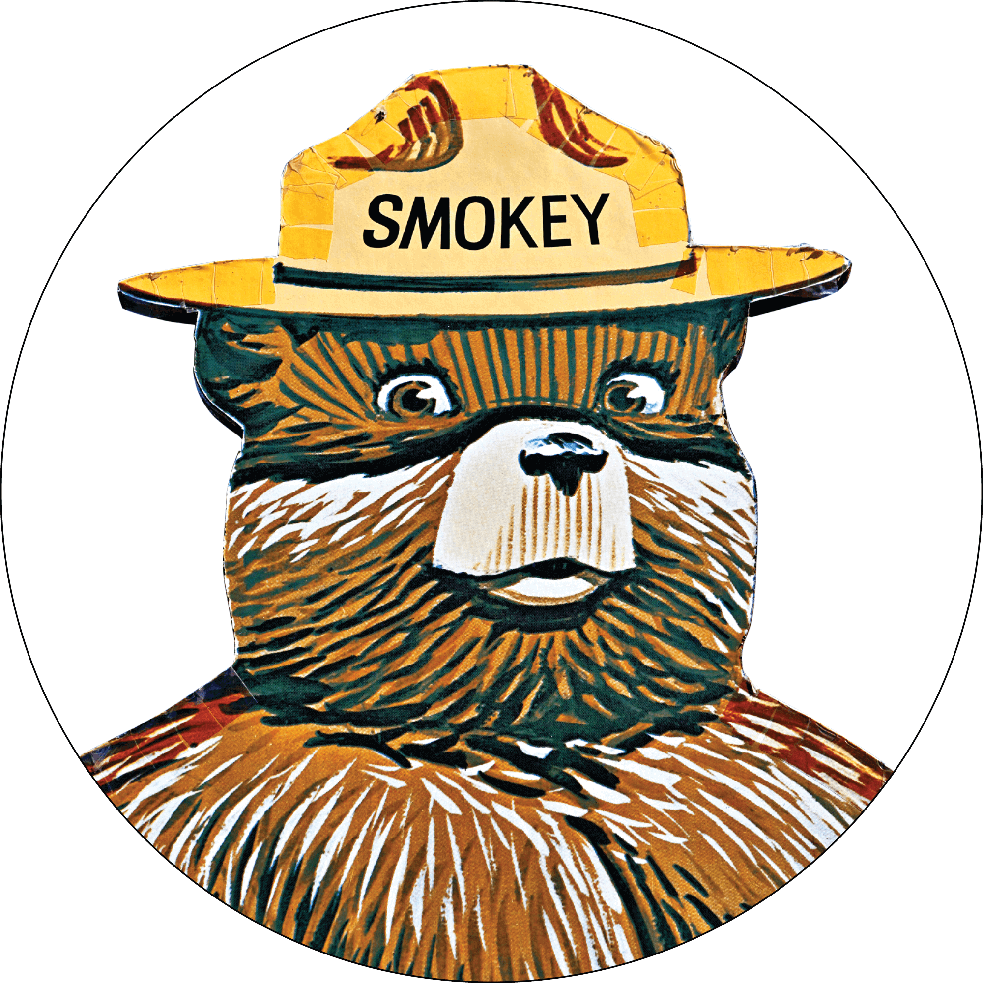 Headshot of Smokey the Bear