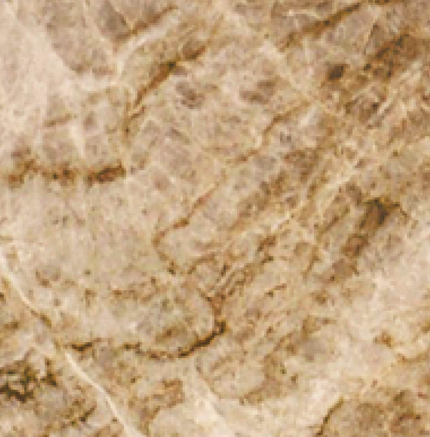 Photo of Quartzite