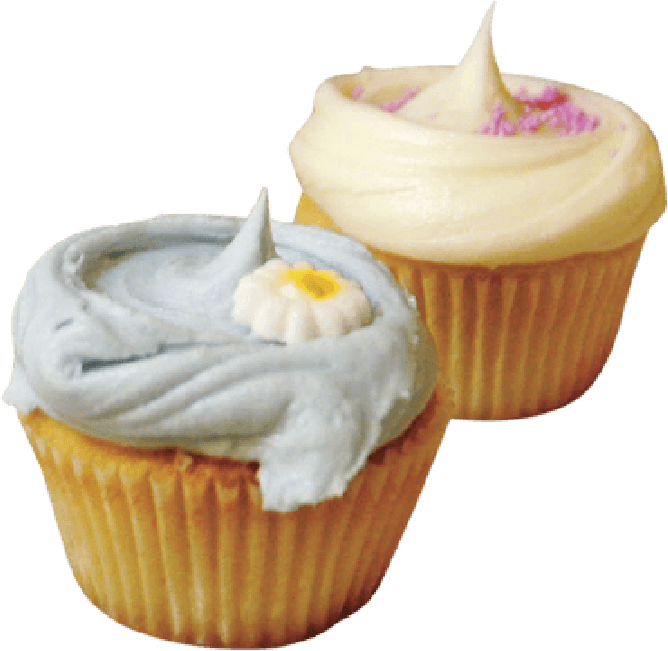 Photograph of cupcakes