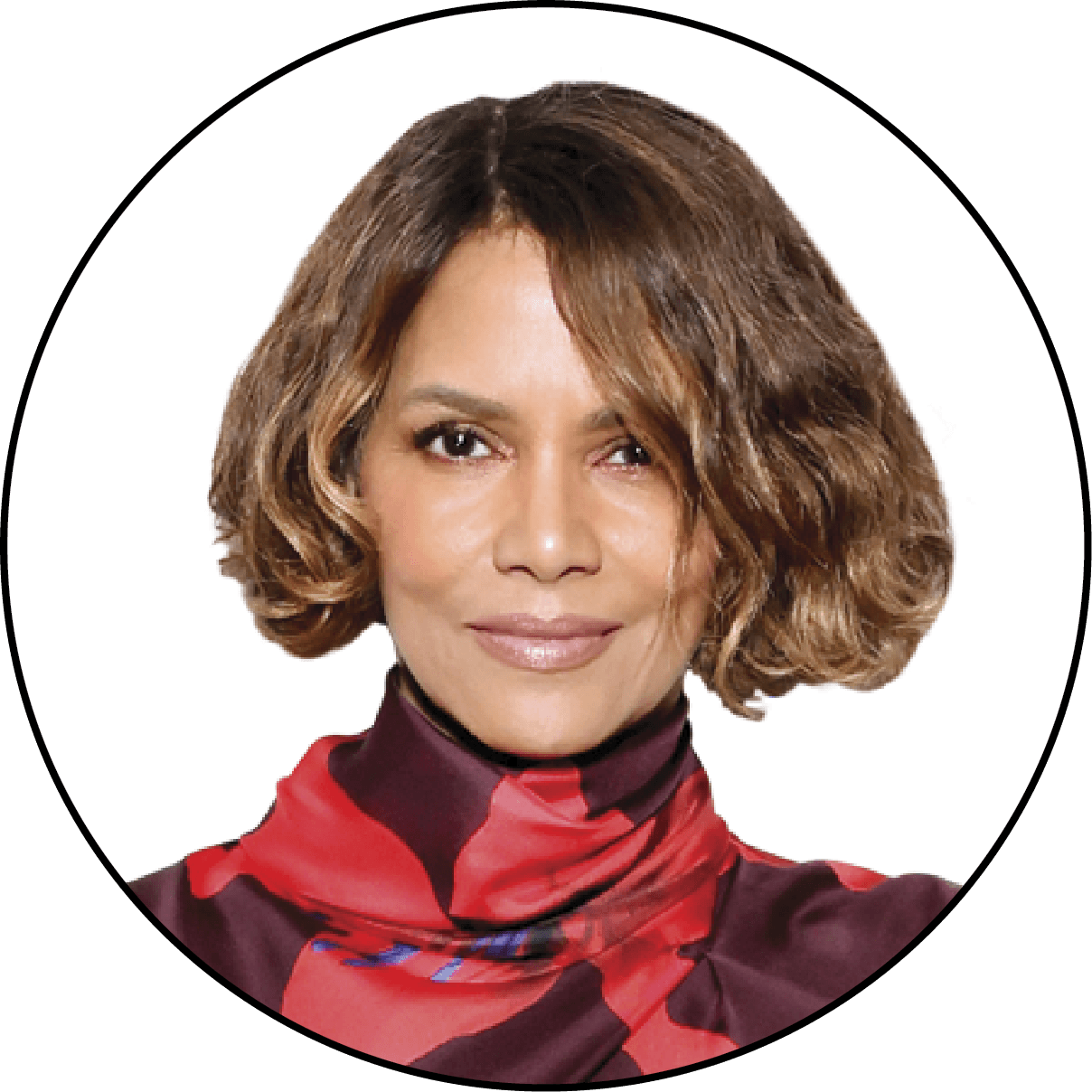 Silhouette of Halle Berry
