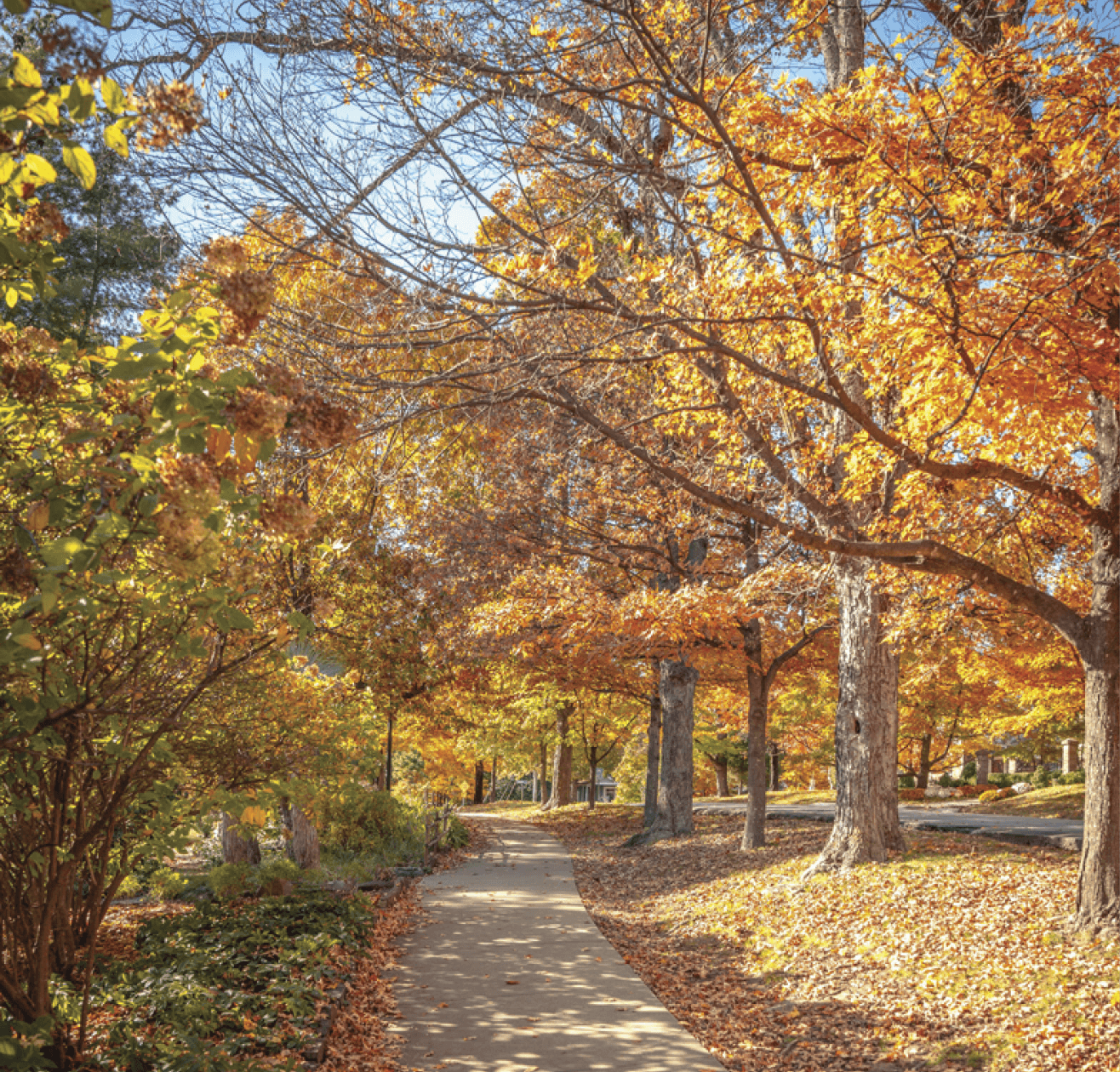 Photograph of a trail in Fayetteville, Arkansas 