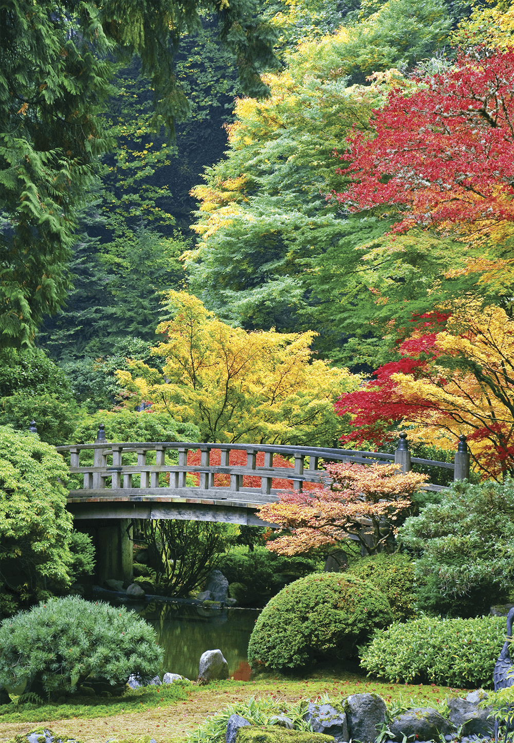 Image of a bridge in nature in Portland, Oregon 