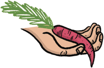 Illustration of a hand holding a limp carrot