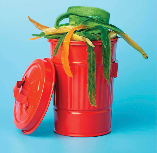 Photo of an orange compost can full of shredded vegetable skins