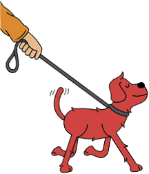 Illustration of a dog walking on a leash