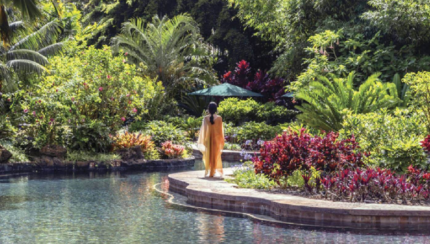 Photograph from Four Seasons at Sensei Lanai