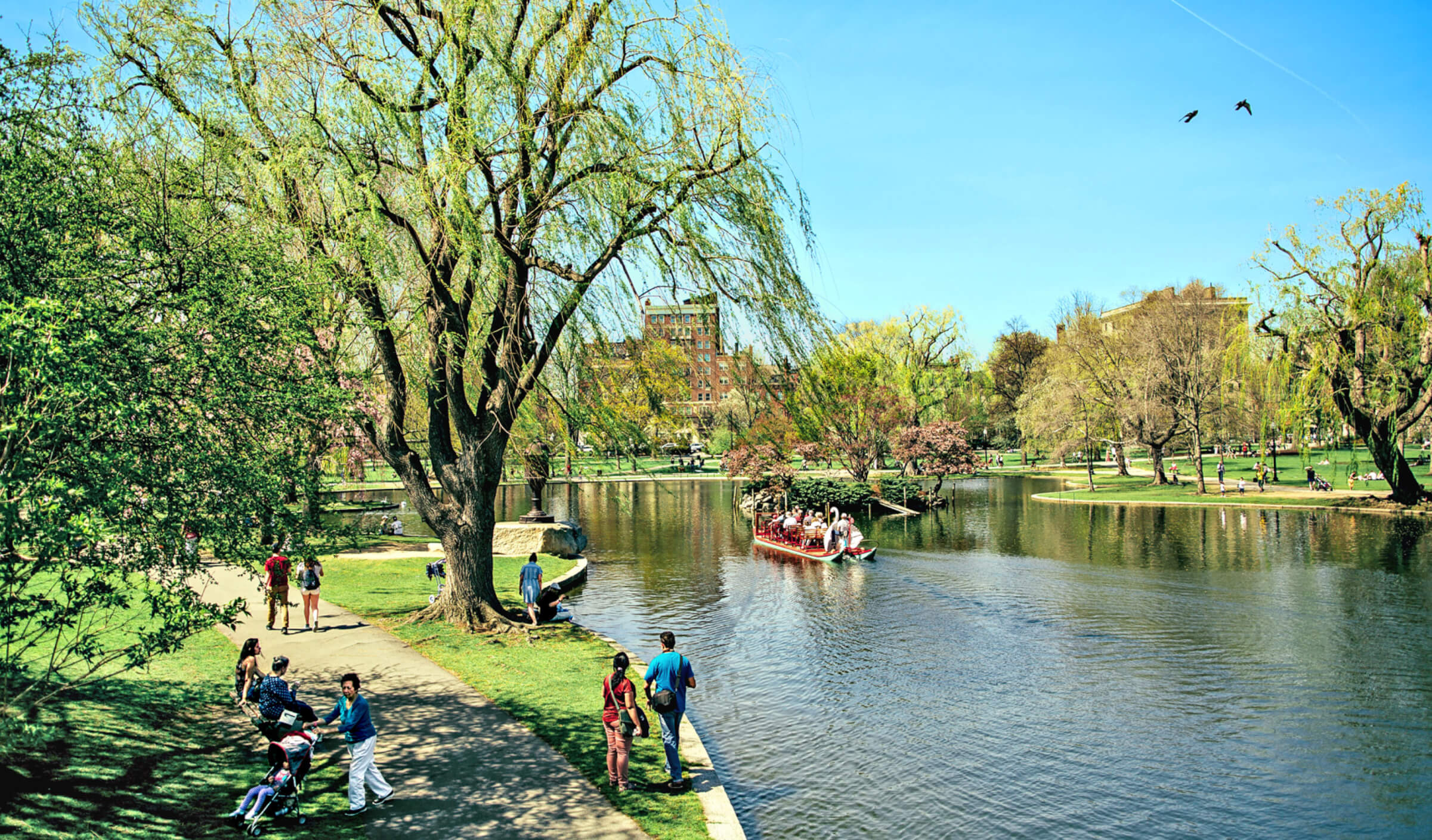 Photo of Boston Public Garden